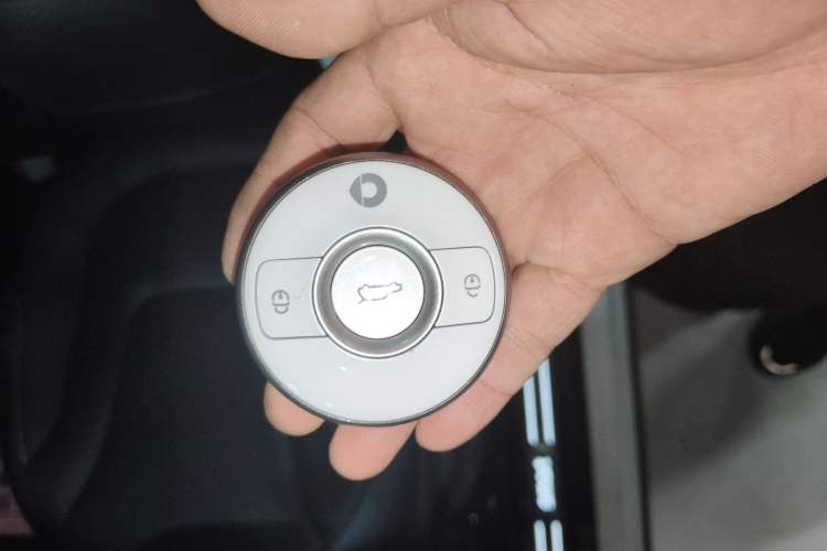 Used  #1 2022 Premium Edition