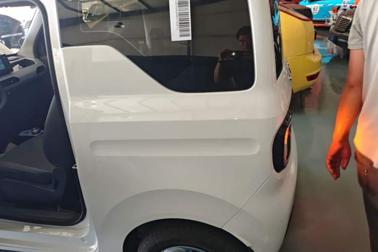 Used  Panda 2024 Panda Mini 200km Endurance Bear
