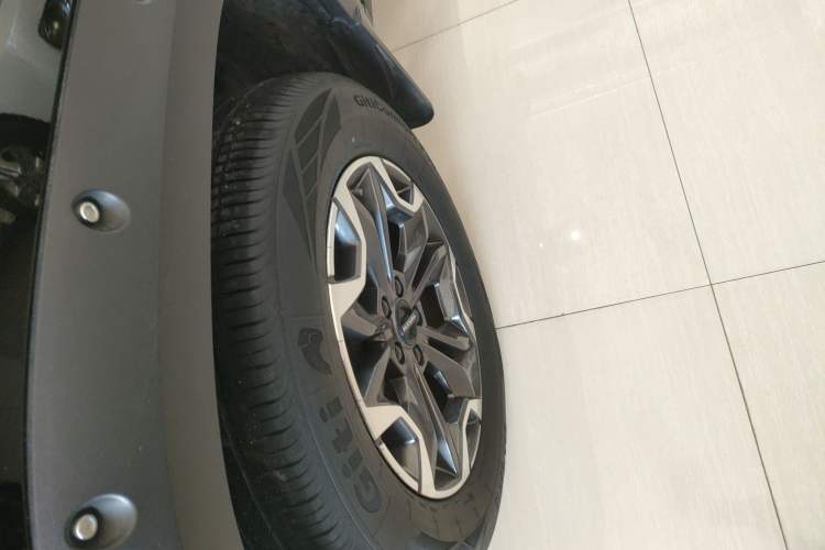 Used Haval DARGO 2024 2.0T DCT Chinese Rural Dog Edition