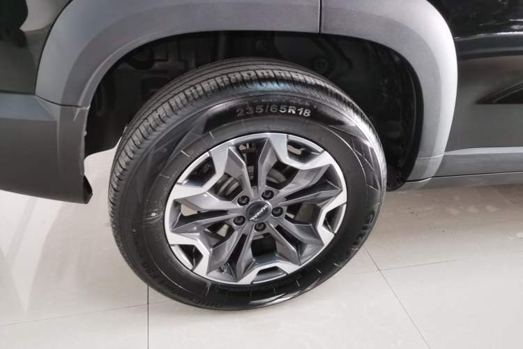 Used Haval DARGO 2024 2.0T DCT Chinese Rural Dog Edition