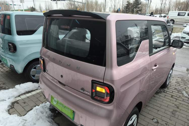 Used  Panda 2025 210 km – Yuanqi Bear
