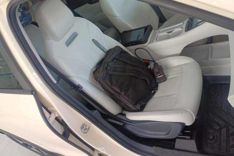 Used  Geome 2025 310km Dream Edition
