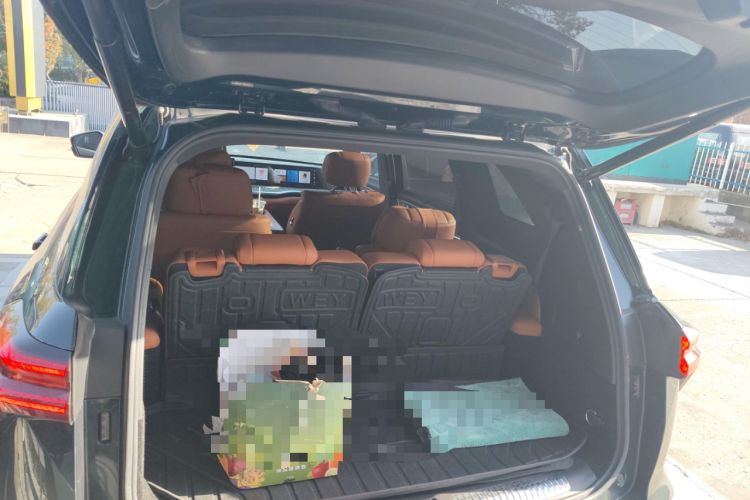 Used Wey Lanshan 2023 Two-Wheel Drive Long-Range Version