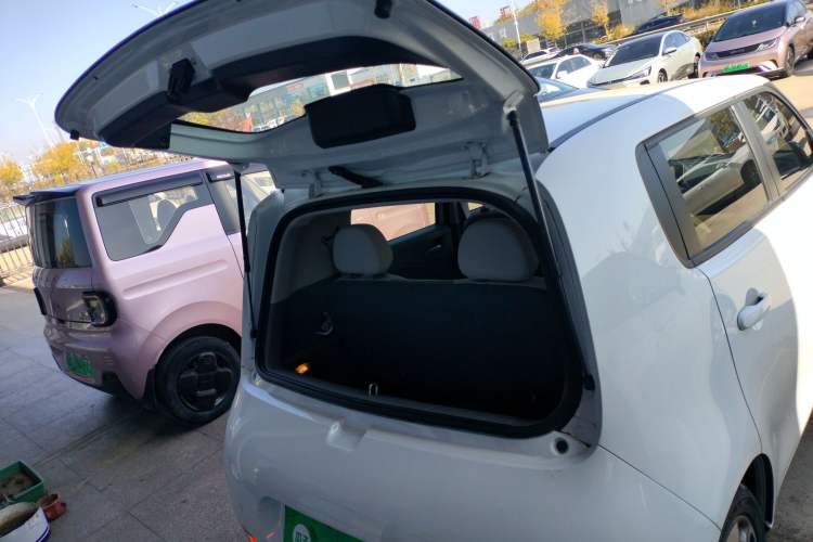 Used ORA White Cat 2020 401 km Flagship Version
