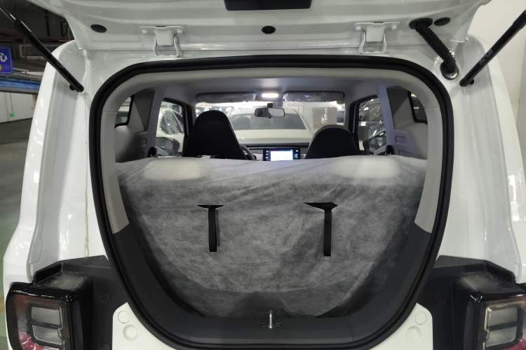 Used  Panda 2025 210 km – Yuanqi Bear
