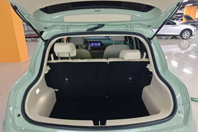 Used ORA Good Cat 2023 401 km Standard Range Luxury Version Lithium Iron Phosphate
