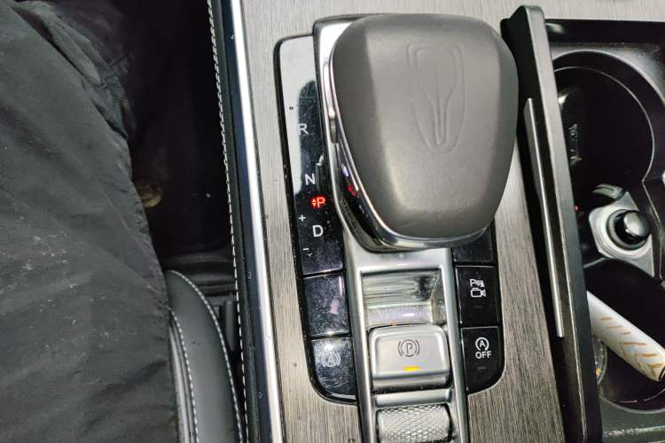 Used Hongqi H9 2022 2.0T Smart Connect Flagship Edition