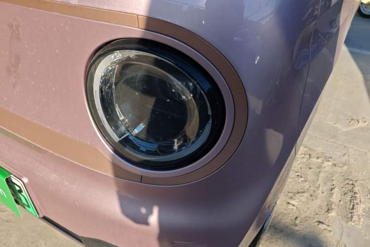 Used  Panda 2024 Panda Mini 200km Endurance Bear
