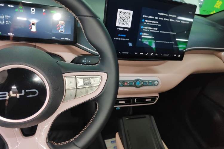 Used BYD Seagull 2025 Smart Drive Version 305 km Freedom Edition