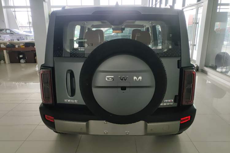 Used Haval Raptor New Energy 
