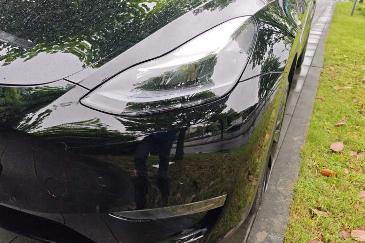 Used Tesla Model Y 2021 Standard Range Rear-Wheel Drive Version
