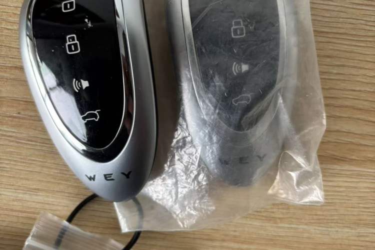 Used Wey Lanshan 2025 Four-Wheel Drive Max
