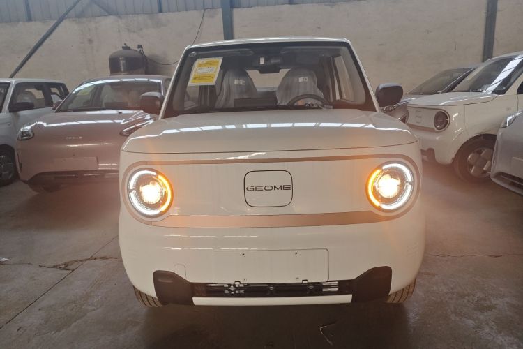 Used  Panda 2024 Panda Mini 200km Endurance Bear
