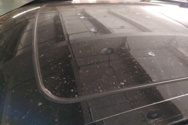 Used Lynk & Co 01 EM-P 2023 1.5TD EM-P PM