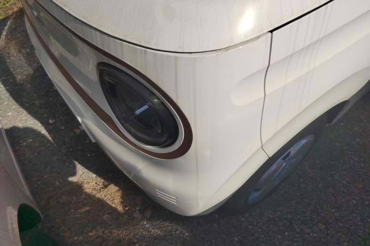 Used  Panda 2024 Panda Mini 200km Endurance Bear