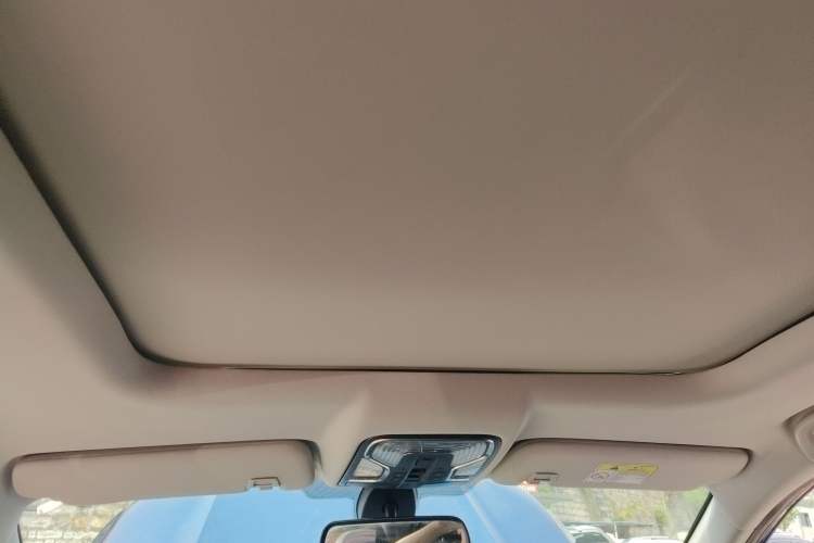 Used Oshan COSPro 2021 1.5T Automatic Flagship 7-Seater
