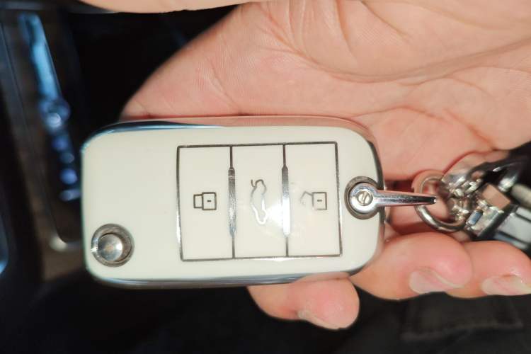 Used Roewe RX8 2019 30T Smart Connectivity Two-Wheel Drive Supreme Flagship Edition
