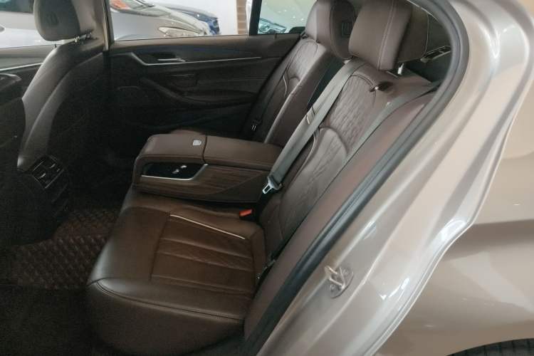 Used BMW 5 Series New Energy 2020 530Le Luxury Package
