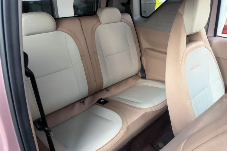 Used  Panda 2023 Panda Mini 200km Endurance Bear
