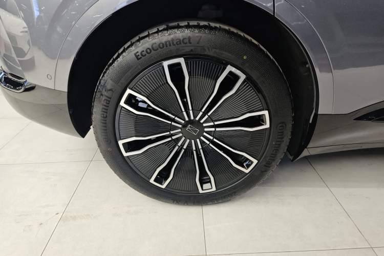 Used  07 2024 Max Extended-Range Edition
