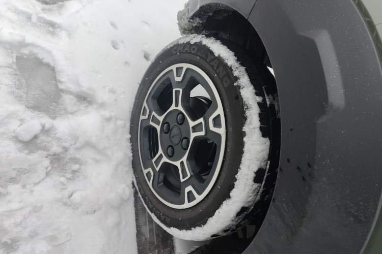 Used  Panda 2024 200km Panda Rider