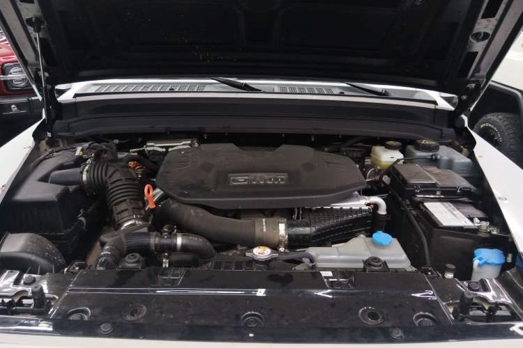 Used Tank 300 New Energy 2025 Hi4-T