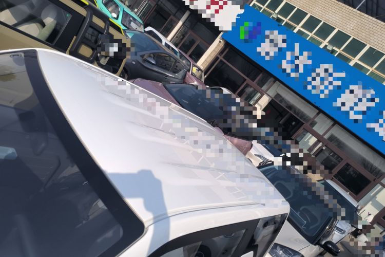 Used  Panda 2023 Panda Mini 200km Endurance Bear