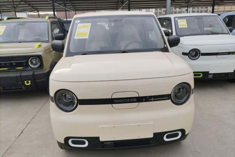 Used  Panda 2025 210 km – Yuanqi Bear
