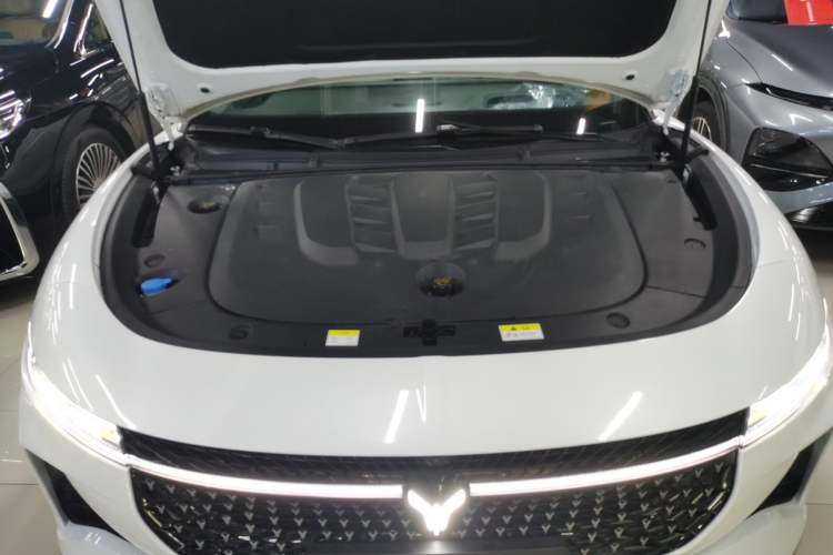 Used VOYAH PASSION 2024 PHEV Four-Wheel Drive Ultra-Long Range Executive Edition
