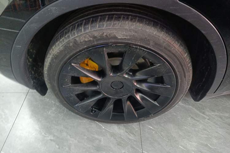 Used Tesla Model Y 2021 Standard Range Rear-Wheel Drive Version
