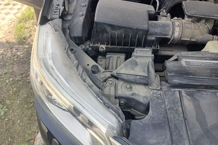 Used Nissan Navara 2017 2.5L Automatic 2WD Luxury Edition QR25
