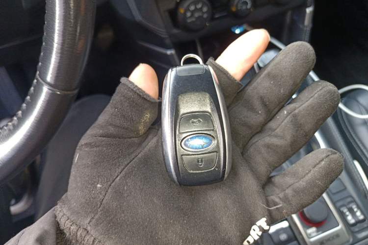 Used Subaru Forester 2019 2.0i Luxury Edition
