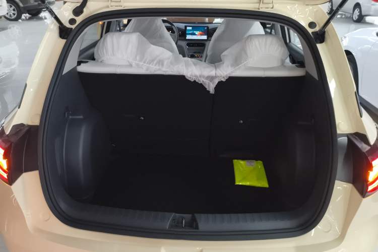 Used  Geome 2025 310km Youth Edition
