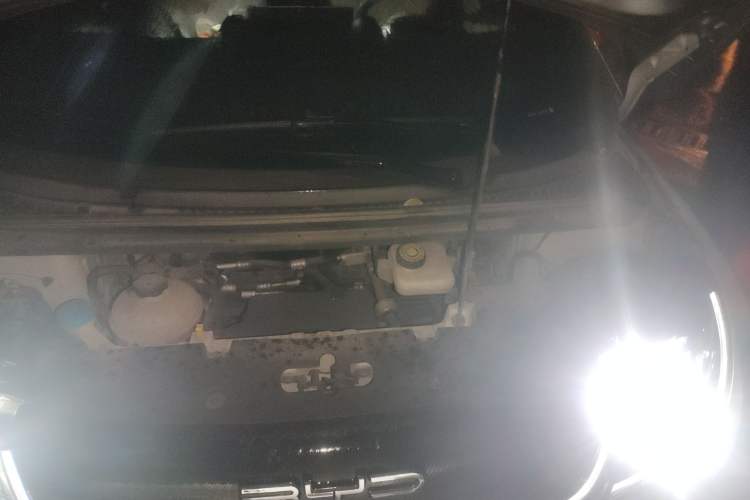 Used BYD Dolphin 2021 405 km Free Version
