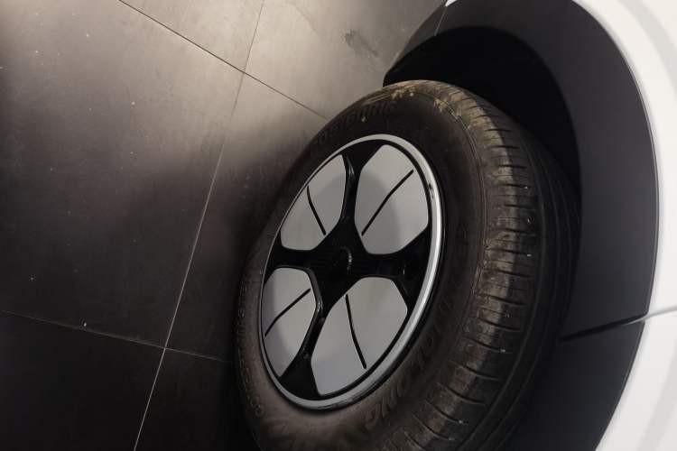 Used  Geome 2025 310km Youth Edition
