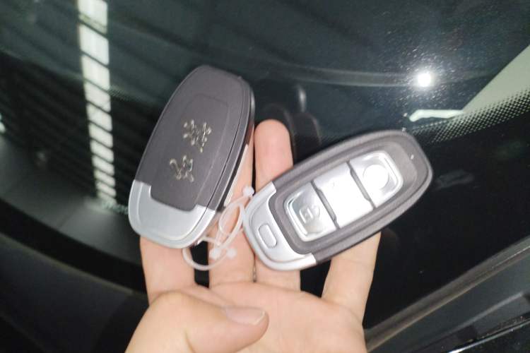 Used Hongqi E-QM5 2024 560km PLUS
