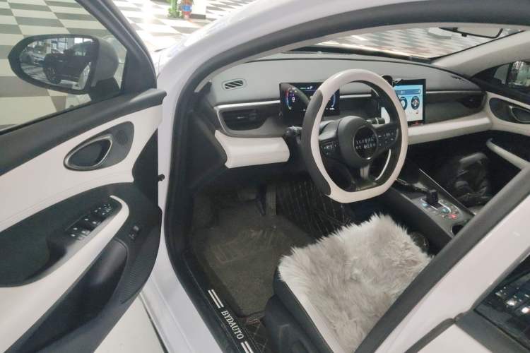 Used BYD Seal 05 DM-i 2025 DM-i Smart Drive 55KM Luxury Model
