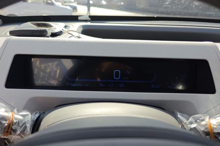 Used  Panda 2025 210 km – Yuanqi Bear