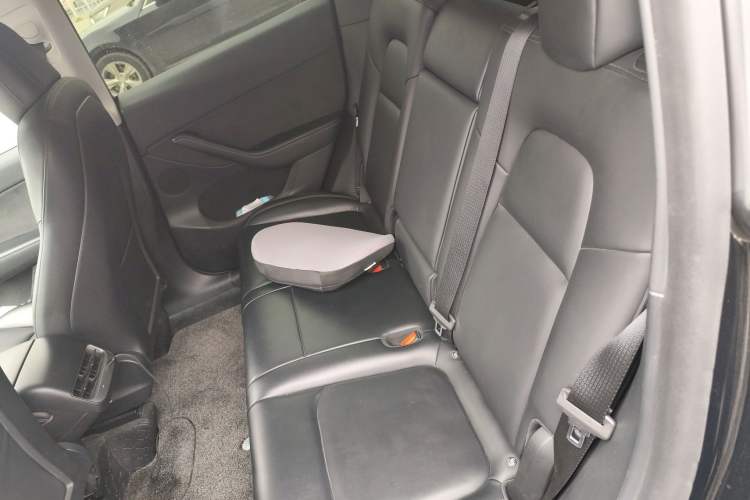 Used Tesla Model Y 2021 Standard Range Rear-Wheel Drive Version
