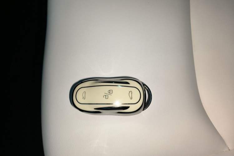 Used Tesla Model 3 2020 Standard Range Rear-Wheel Drive Upgraded Version
