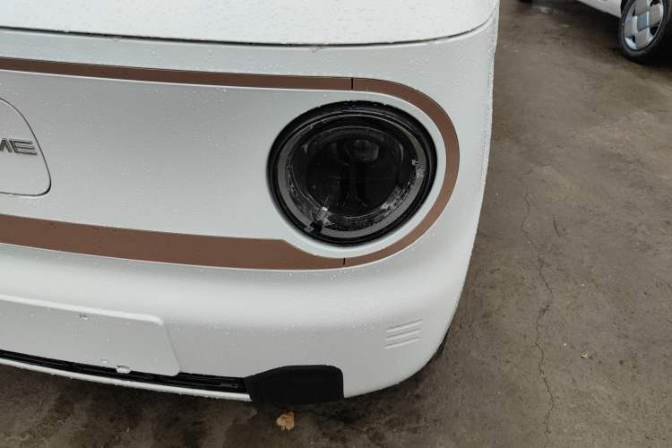 Used  Panda 2024 Panda Mini 200km Endurance Bear
