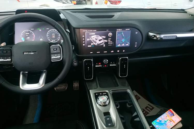 Used Haval DARGO 2024 2.0T DCT Chinese Rural Dog Edition
