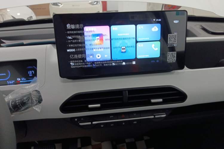 Used  Panda 2024 Panda Mini 200km Endurance Bear
