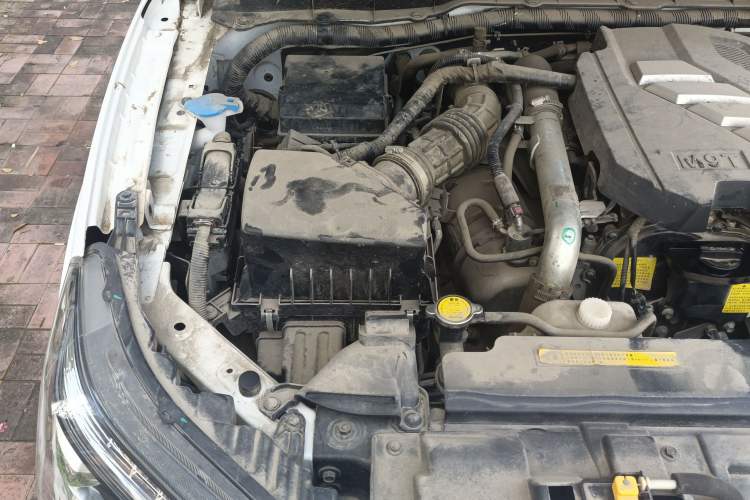 Used Dongfeng Ruichi 6 2020 2.3T Manual Two-Wheel Drive Diesel Standard Version China VI M9T
