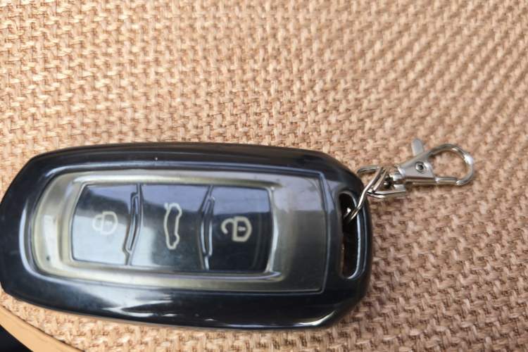 Used  Panda 2023 Panda Mini 200km Endurance Bear