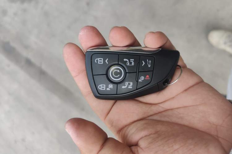 Used Buick GL8 New Energy 2024 Lu Zun Luxury Edition 6-Seater
