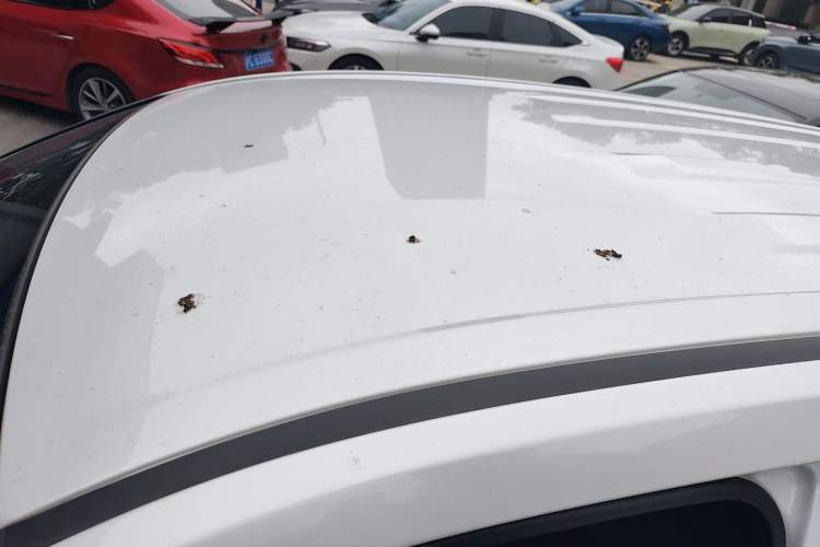 Used Toyota Corolla Cross 2023 2.0L Pioneer Edition
