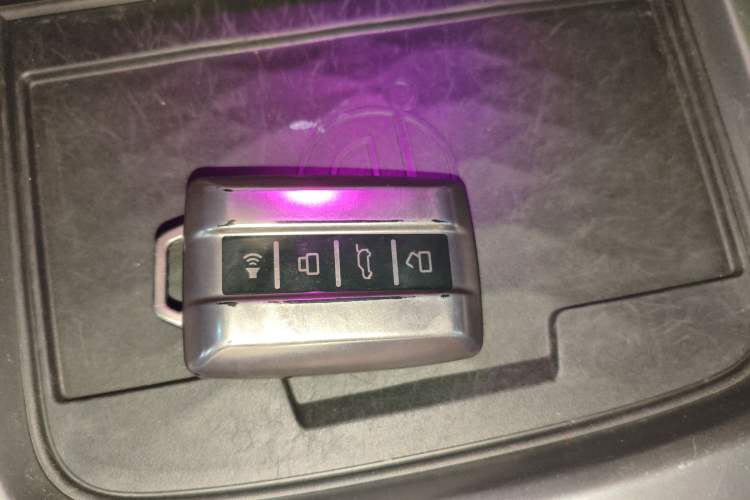 Used Tank 300 2021 City Edition 2.0T My Vision Model
