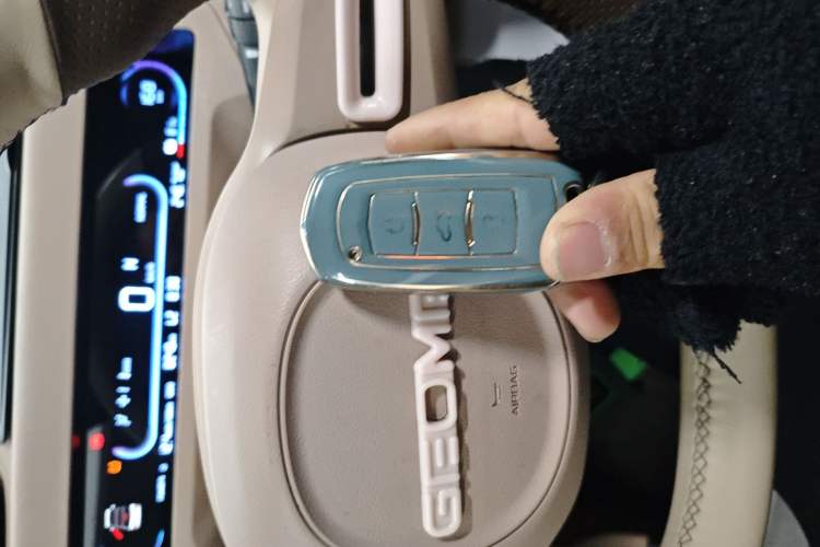 Used  Panda 2024 Panda Mini 200km Endurance Bear
