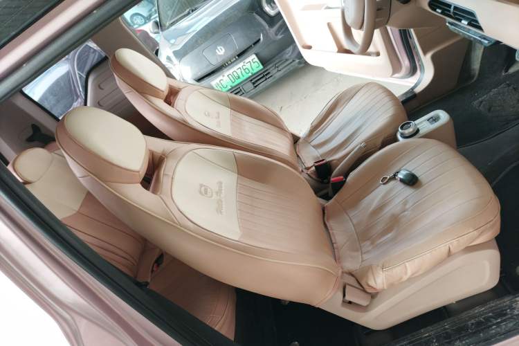 Used  Panda 2023 Panda Mini 200km Endurance Bear